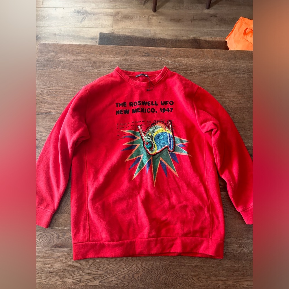 Zara UFO Sweater
